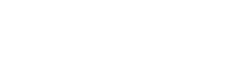 Stockflow Logo
